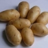 Potato nevsky